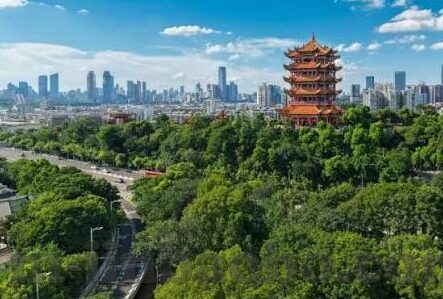 德州扑克之夜封号-德州扑克之夜，封号风波背后的故事